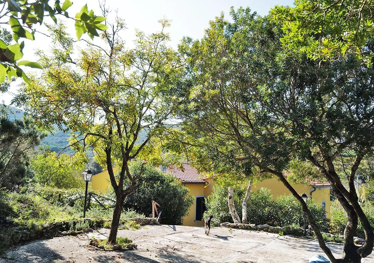 Le Maree Sansone Sul Mare Apartment Portoferraio